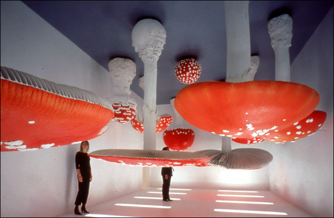 Carsten Hoëller, Upside Down Mushroom Room, 2000